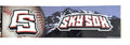 Colorado Springs Skysox Bling Style Traditional Bumper Sticker, 3x11 Inch, Full Adhesive Backing, Flat Vinyl, Officially Licensed