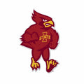 Iowa State University Cyclones Soft Felt Pennant, Mascot Design, Shape Cut, 18 Inch, Easy To Hang